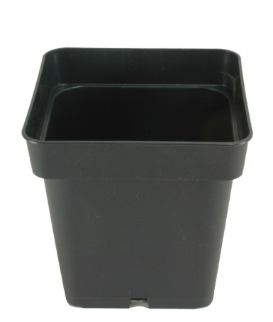 CONT CARRE CS 12X12X12 1.3L