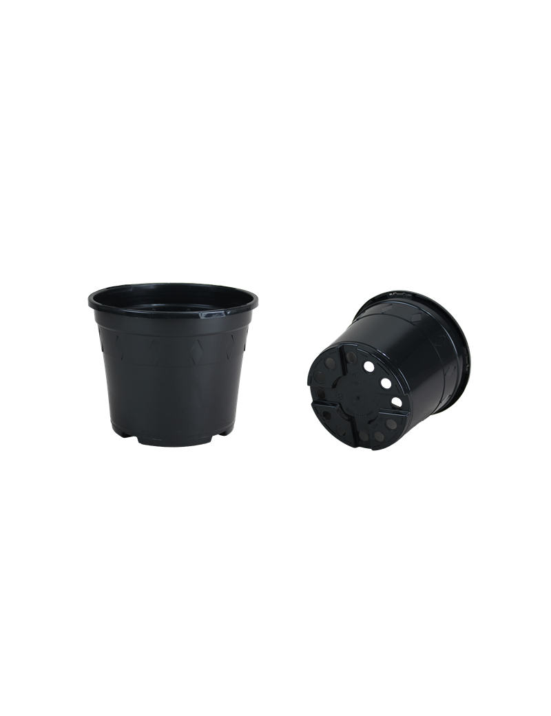 CONT EUROPA 15X12  1.4L
