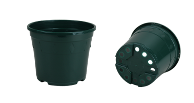 CONT EUROPA 21 X 18.5   4L