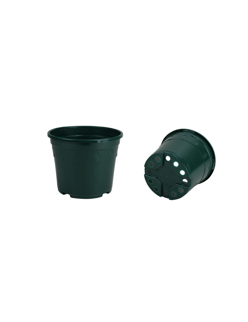 CONT EUROPA 21 X 18.5   4L