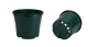 CONT EUROPA 21 X 18.5   4L