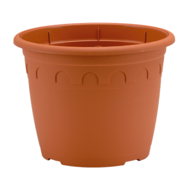 CONT ROMA 1,1L 14 X 11
