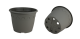 CONT ROMA 1,5L  16 X 12