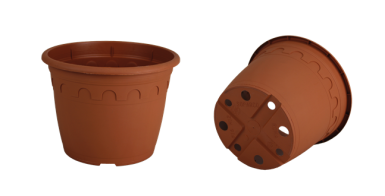 CONT ROMA 1,5L  16 X 12