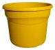 POT TEO