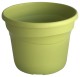 POT TEO