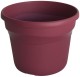 POT TEO