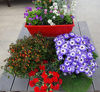 JARDINIERE