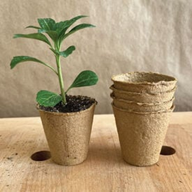 BIO DEGRADABLE
