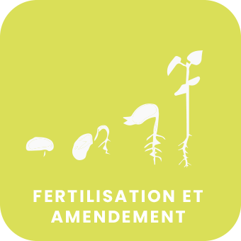 fertilisation.png
