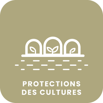 protection_cultures2.png