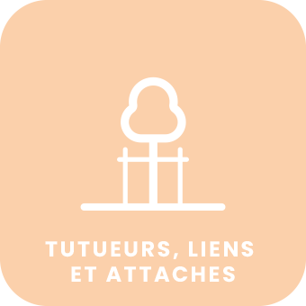 tuteurs.png